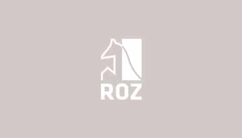 Bereikbaarheid rondom feestdagen
